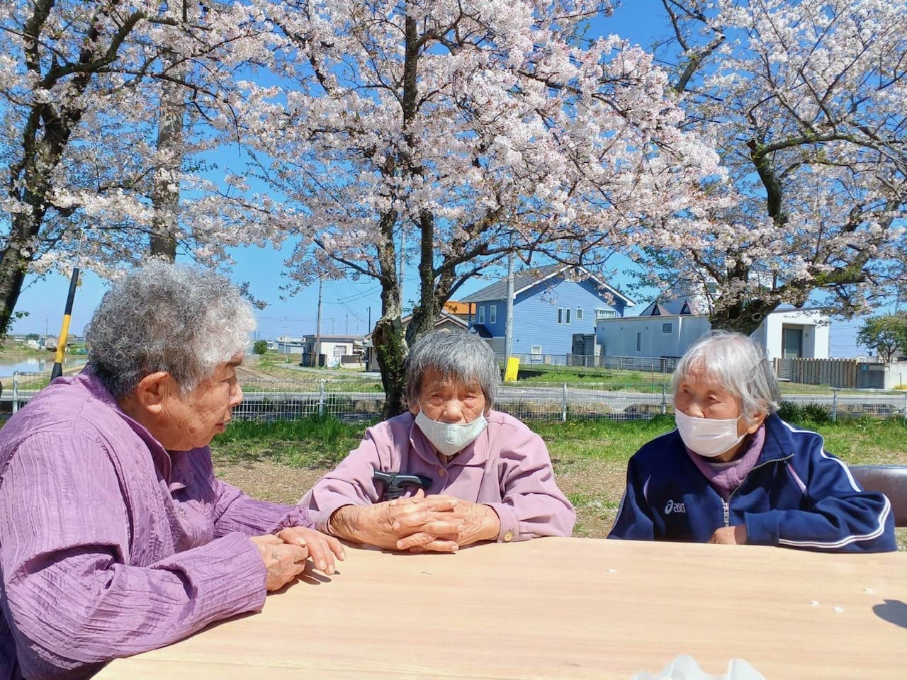 公園の桜の木の下でお話し